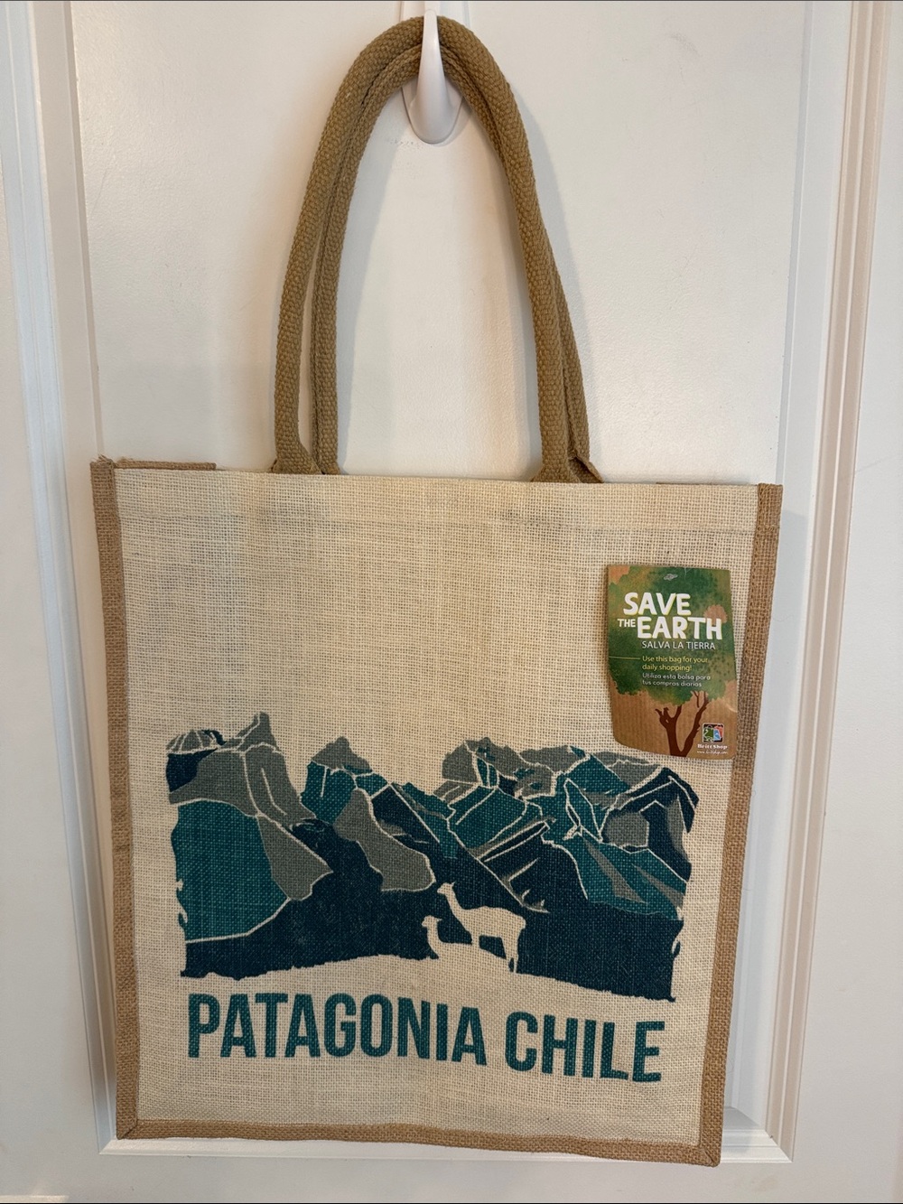 Patagonia Canvas Tote Bag in Natural and Teal